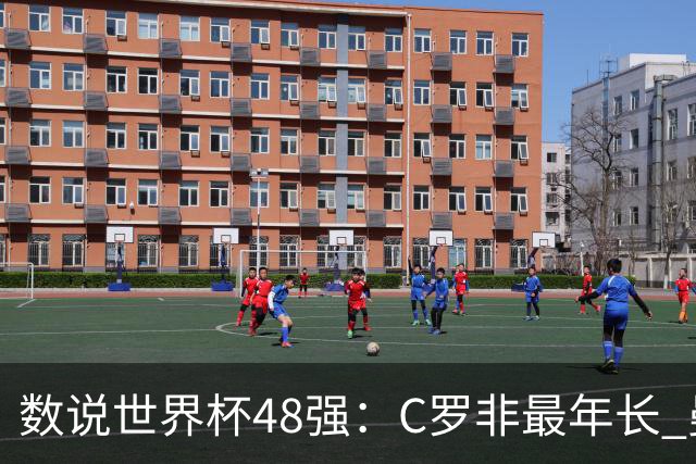 数说世界杯48强：C罗非最年长 曼城19人创纪录 73岁名帅第5次参赛